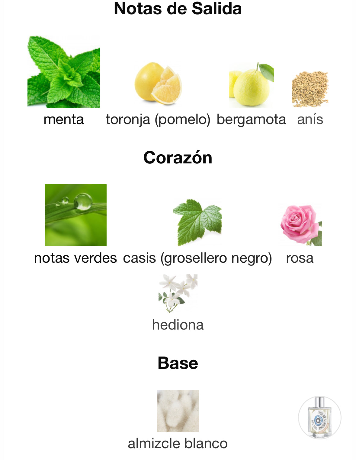 Etat Libre d'Orange - You Or Someone Like