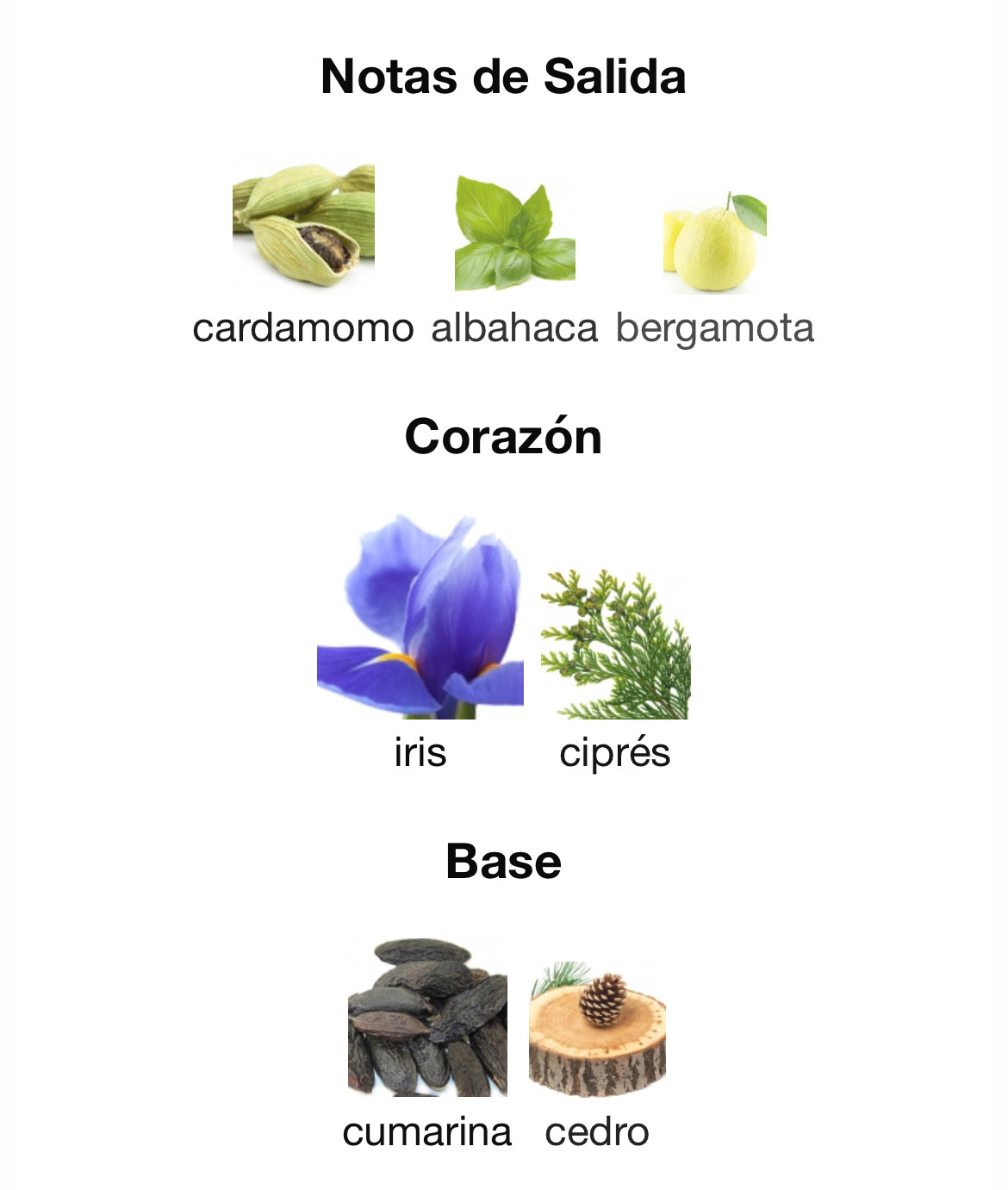 Givenchy - Gentleman Eau de Toilette Intense