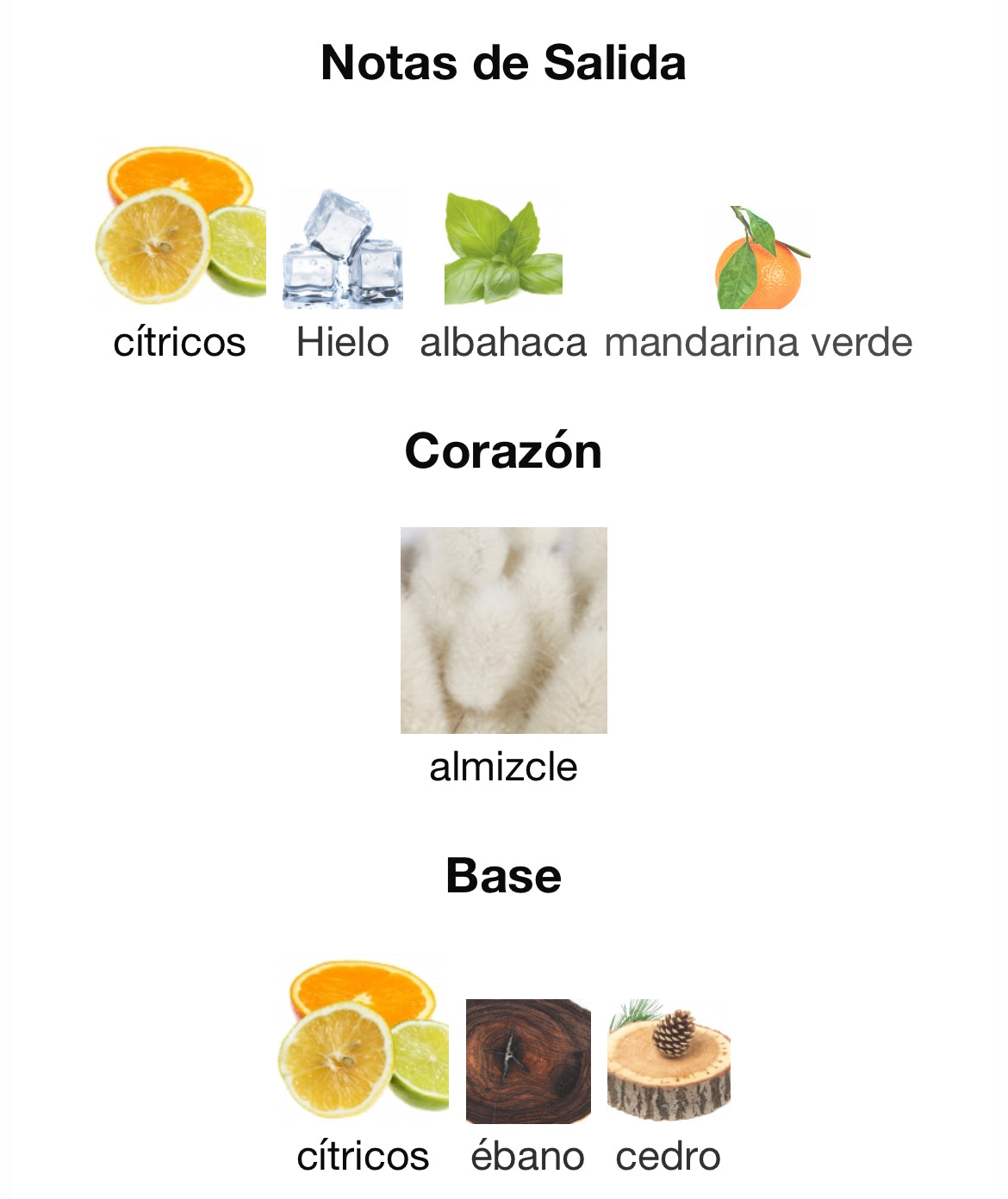 Narciso Rodriguez - For Him Bleu Noir Eau De Toilette Extreme