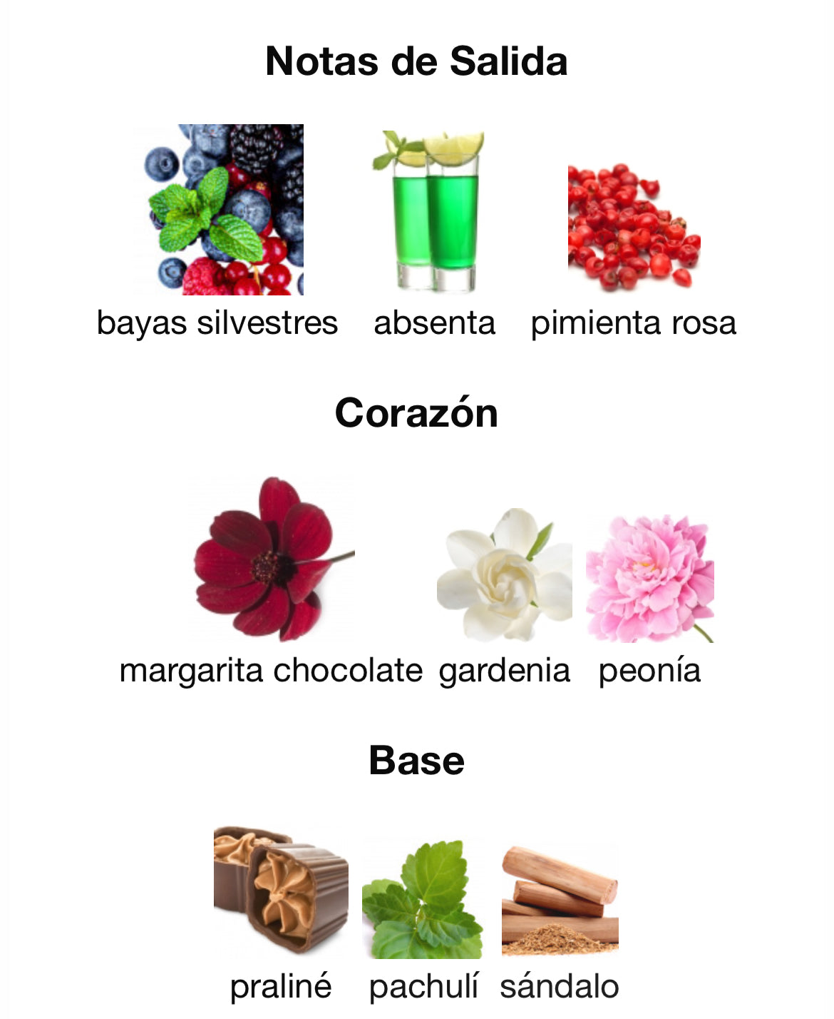 Ramon Monegal - Ibiza #flowerpower