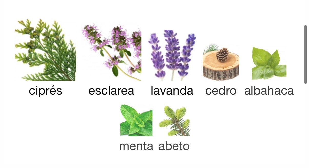 Penhaligon’s - The Cut