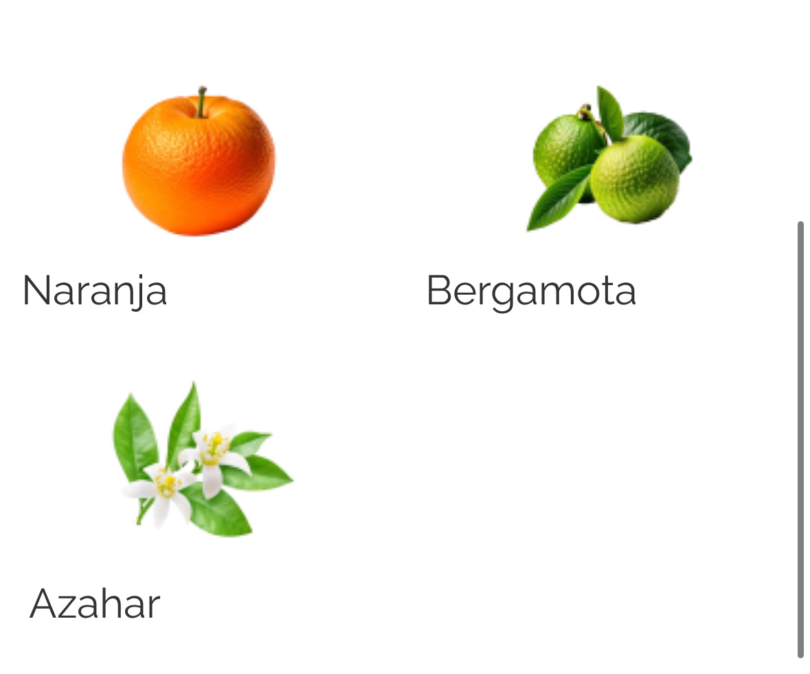 Luz De Sevilla - Sevilla