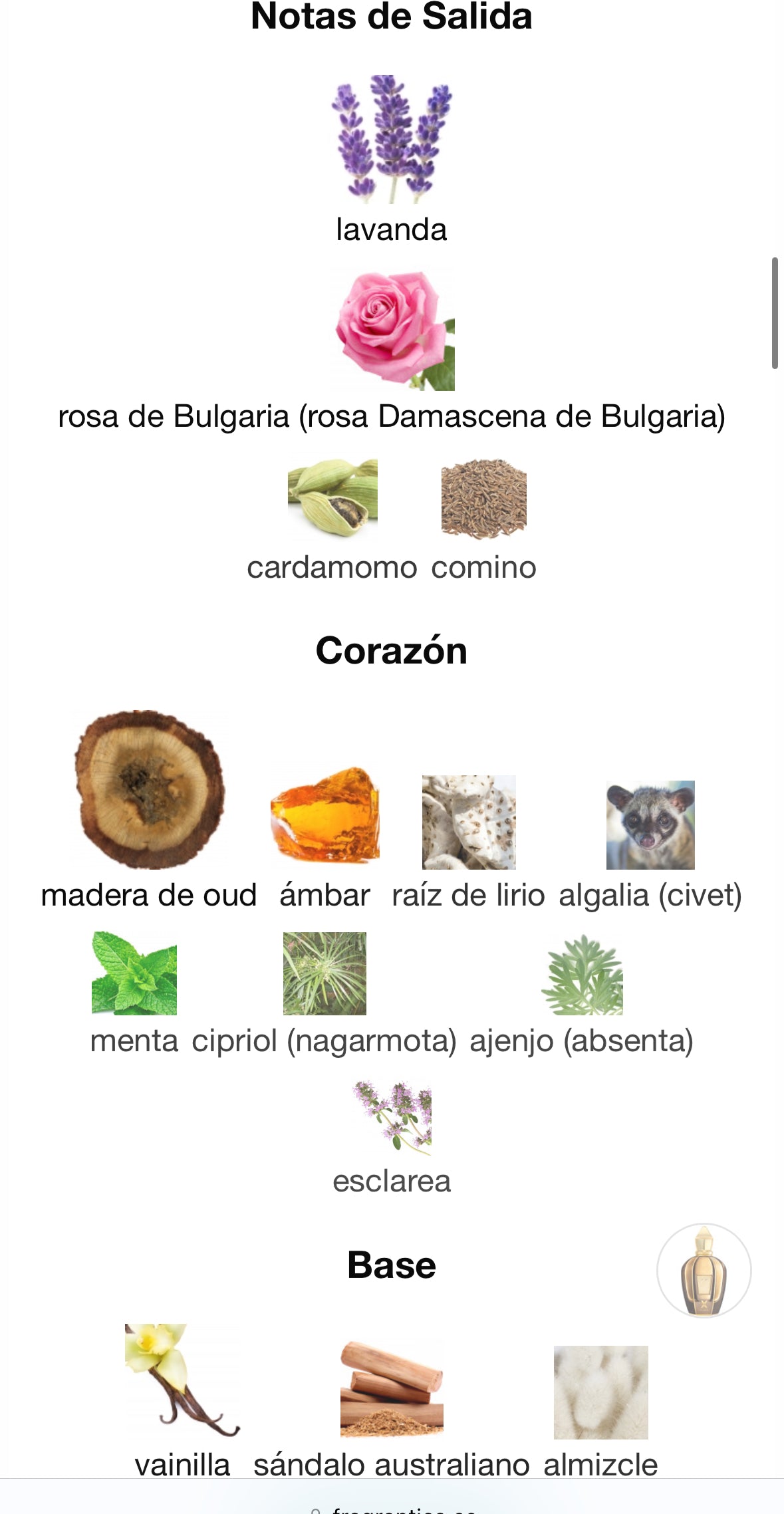 Xerjoff - Alexandria II Anniversary