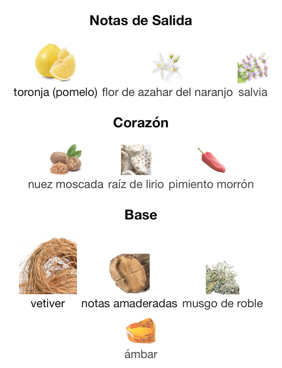 Tom Ford - Grey Vetiver