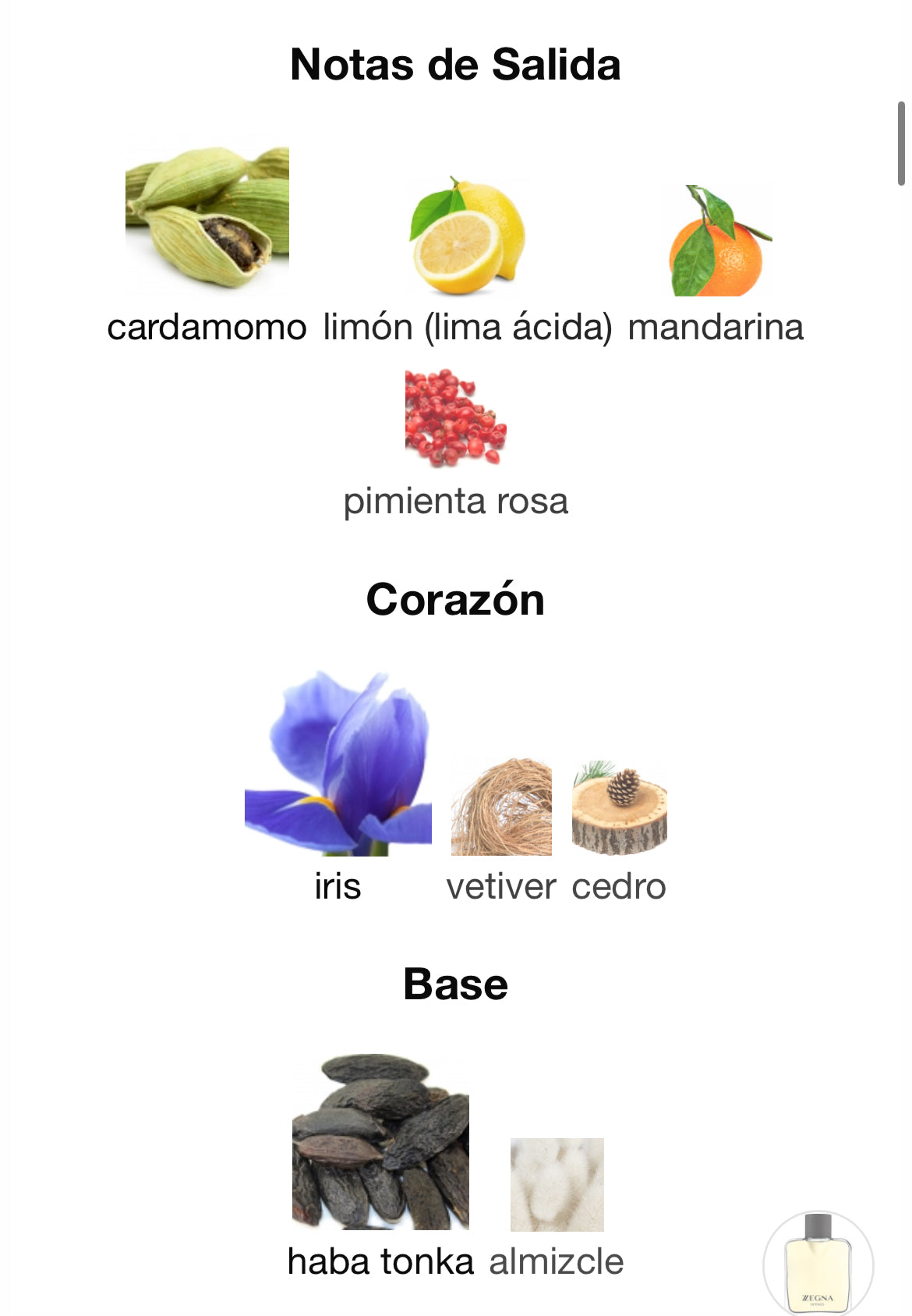 Ermenegildo Zegna - Intenso