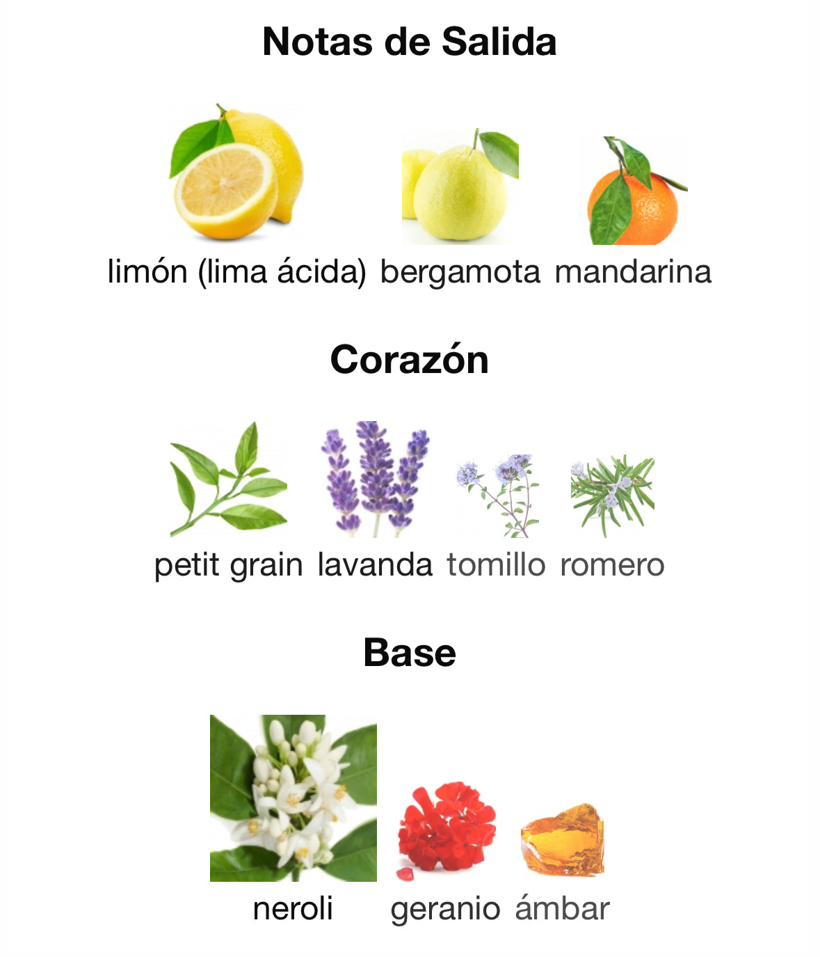 Ramon Monegal - Heritage Drops