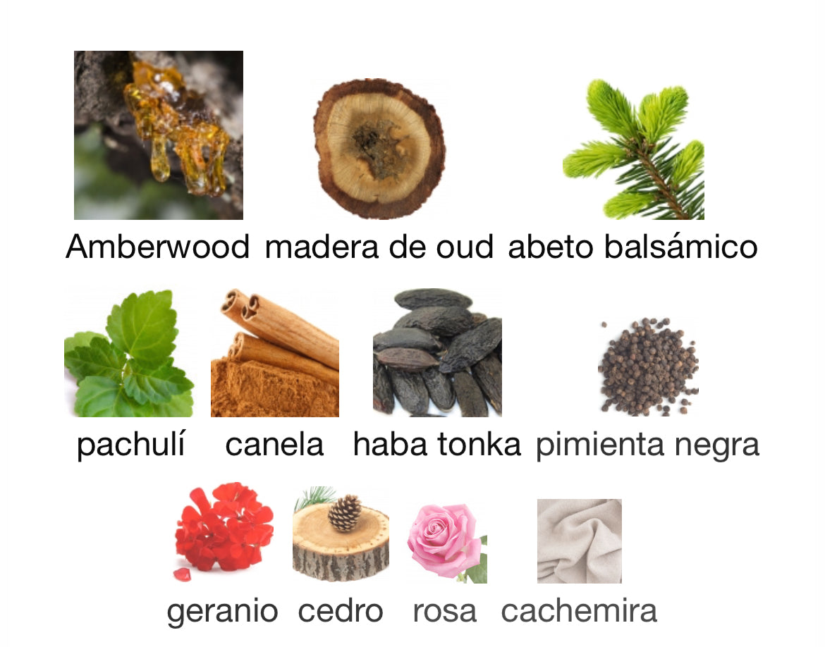 Ramon Monegal - Oud On Fire