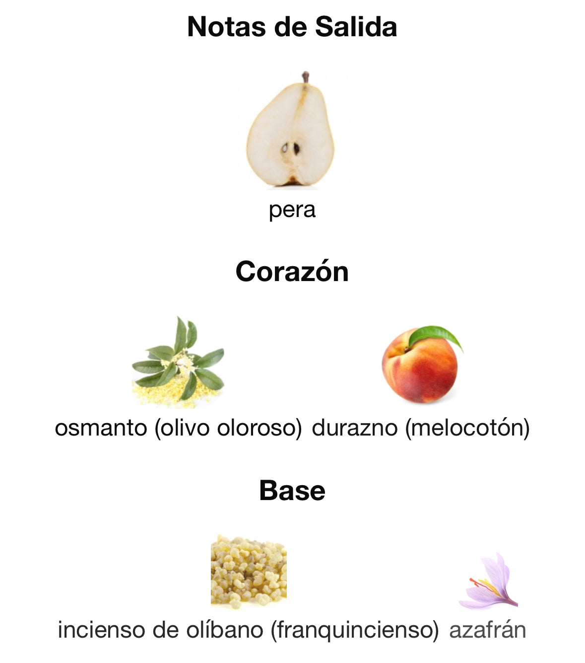 Zara - Stellar Amber