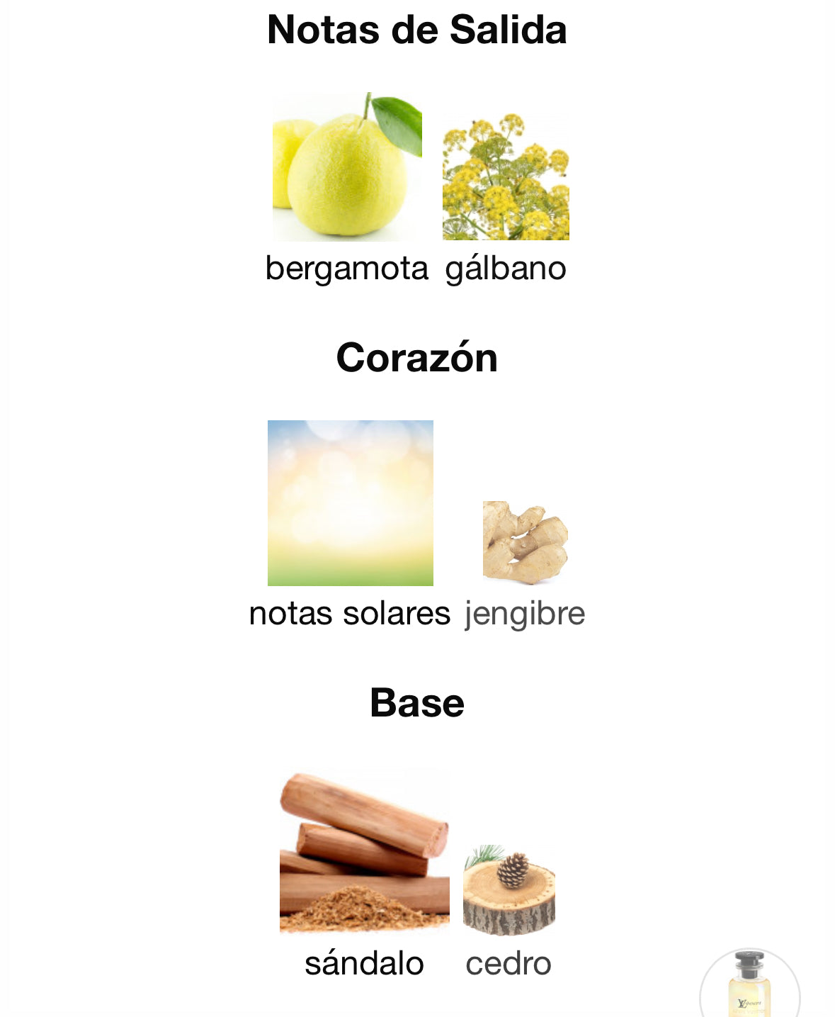 Louis Vuitton - Lvers