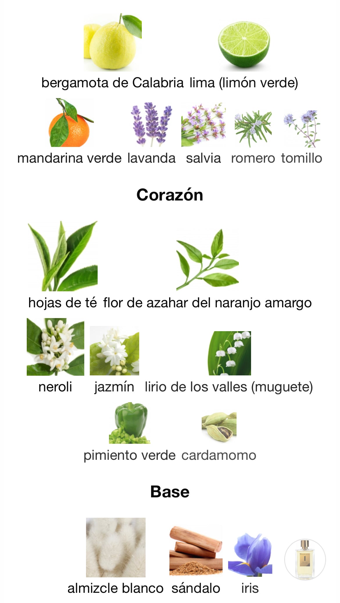 Rosendo Mateu - Nº 1 Bergamot, Tea Leaf, Sandalwood