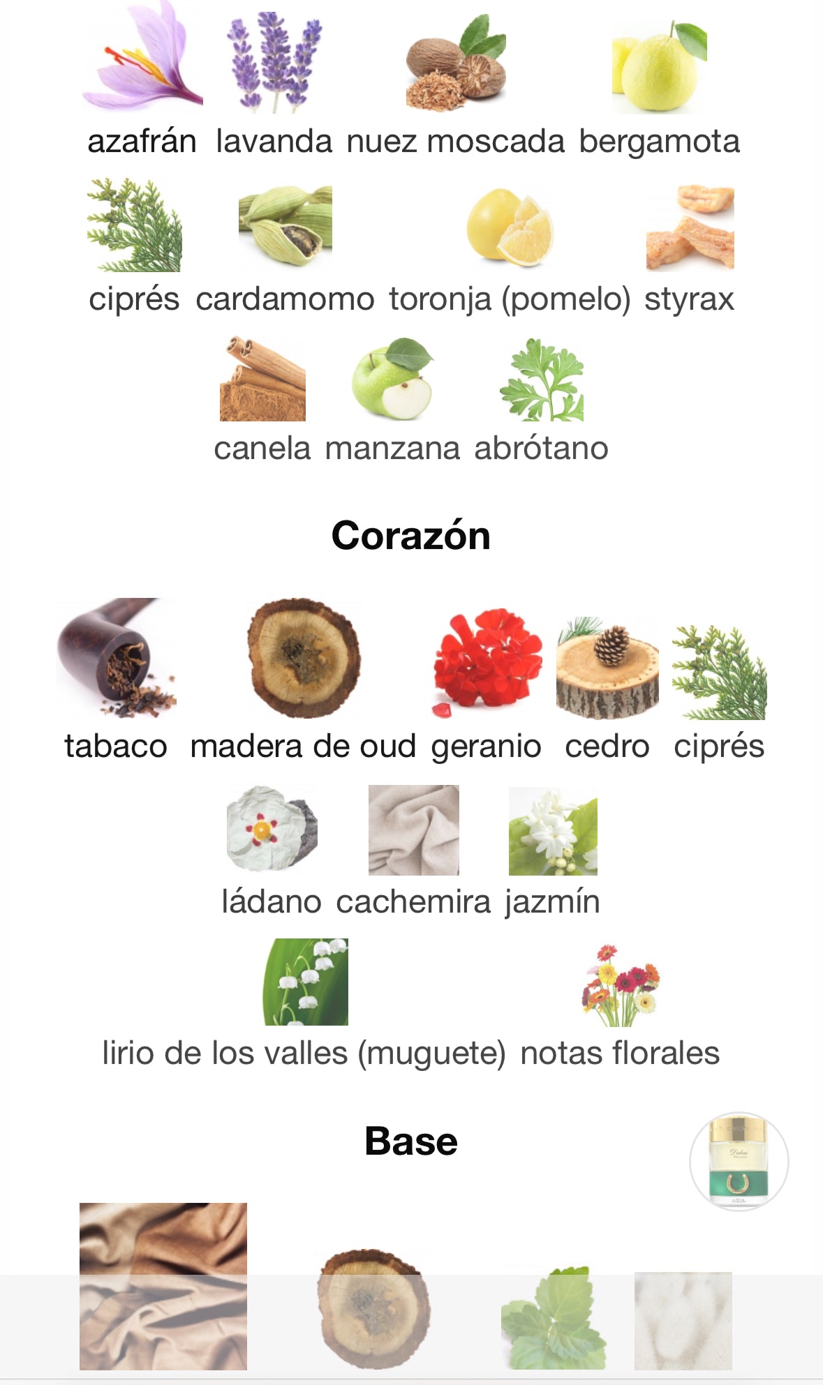 The Spirit Of Dubai - Meydan