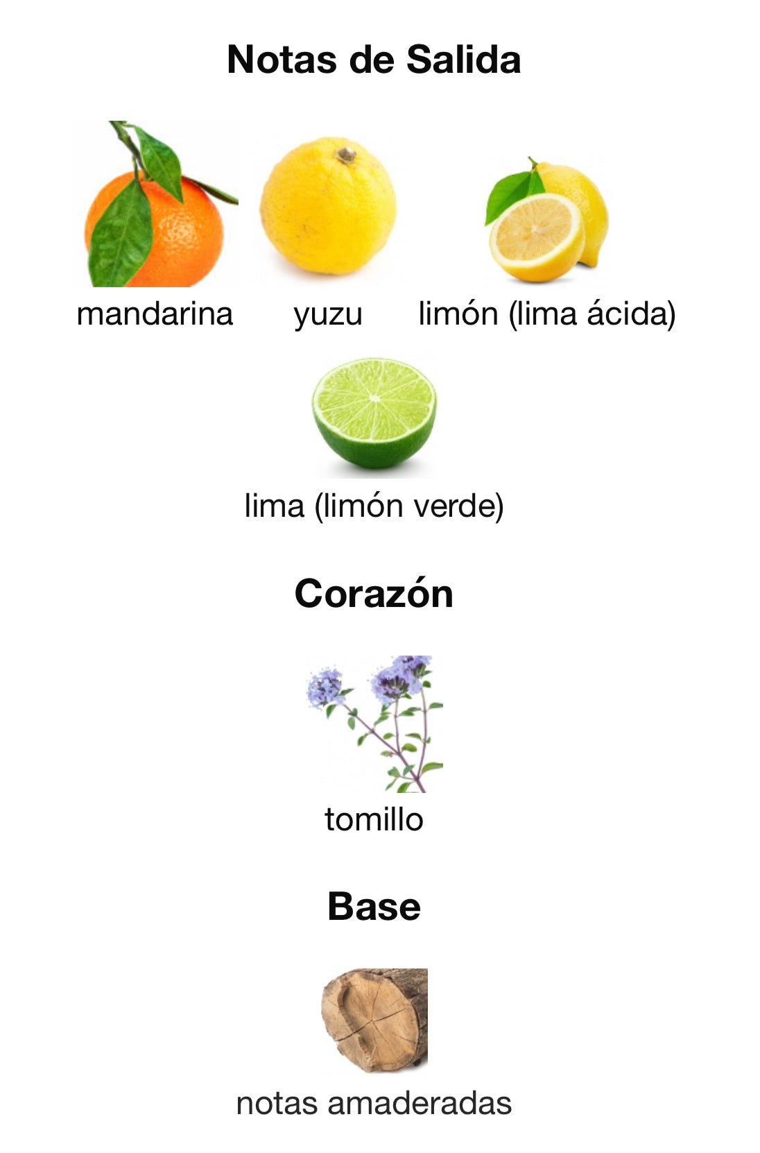 Diptyque - Oyedo Eau de Toilette