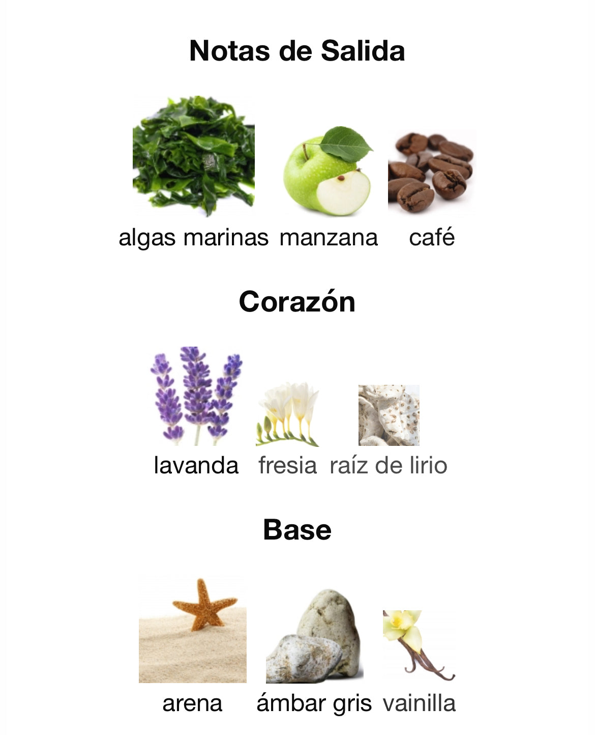 Ramon Monegal - Ibiza #sunsetcafe