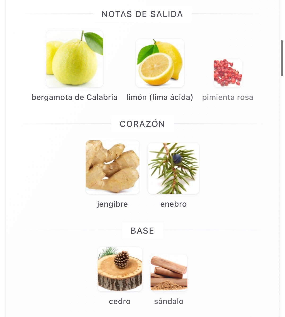 Acqua Di Parma - Note Di Colonia V