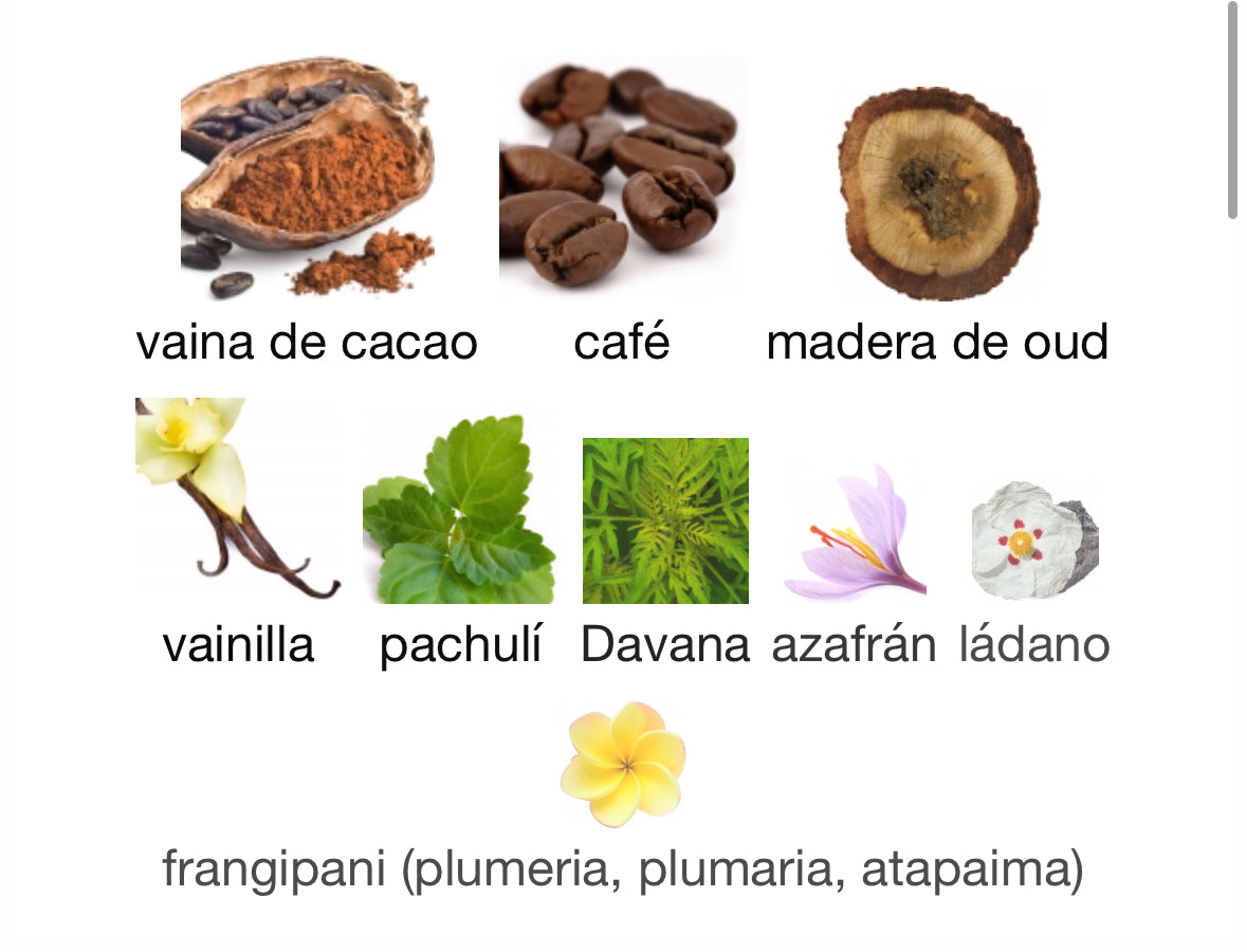 Scents Of Wood - Oud In Bourbon