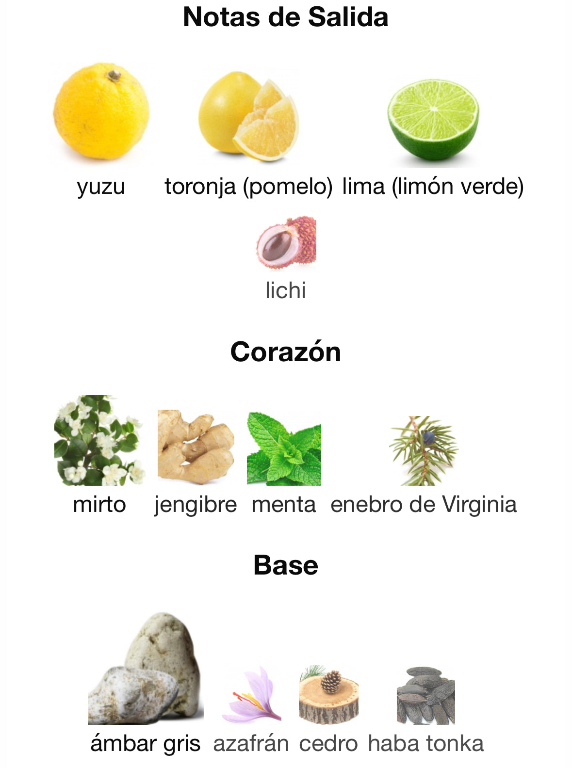 Pantheon Roma - Aurea