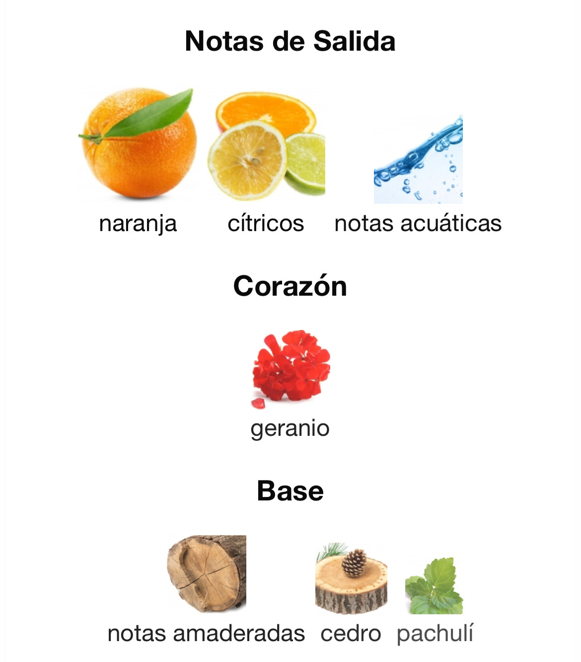 Hermès - Terre d'Hermès Eau Tres Fraiche