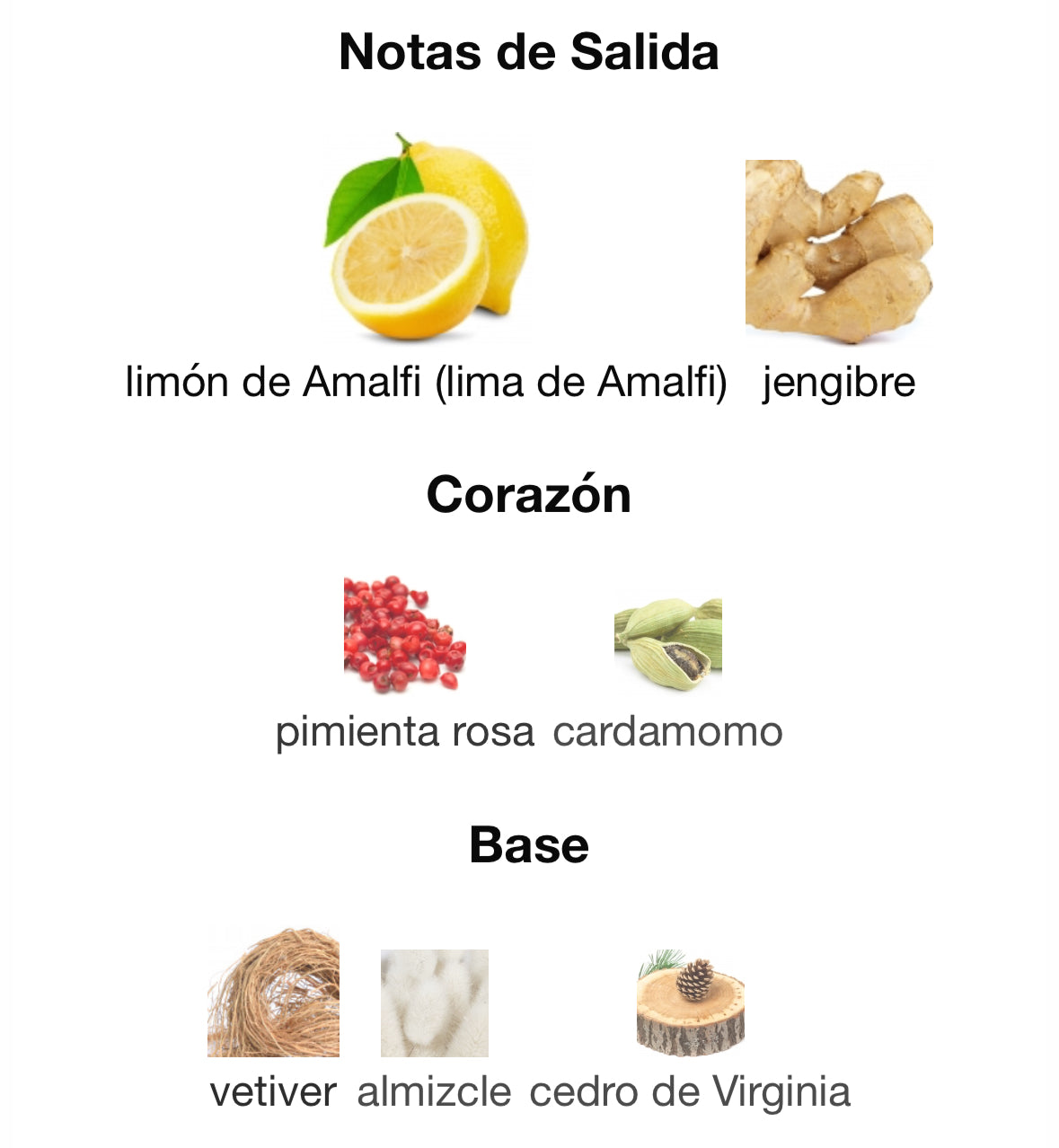 Salvatore Ferragamo - F by Ferragamo Free Time