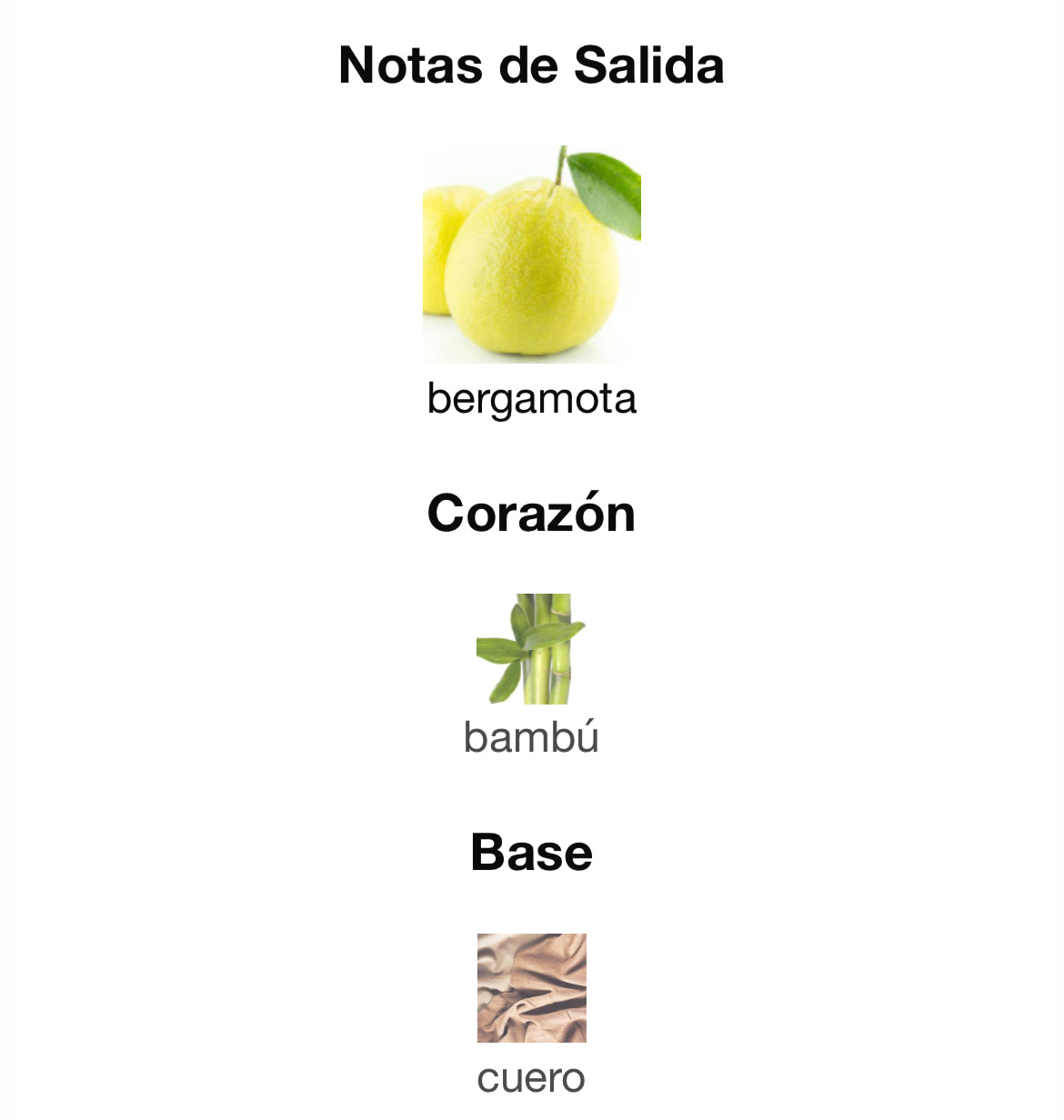 Zara - Vibrant Leather