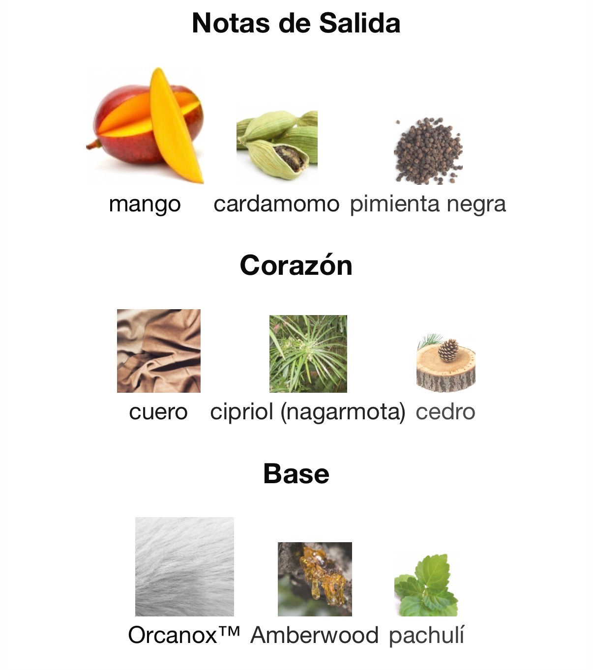 Jovoy Paris - Ha Long Bay