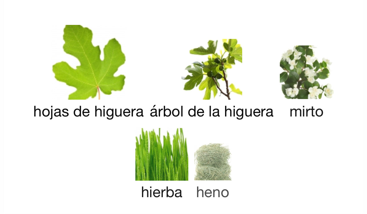 Profumum Roma - Ichnusa