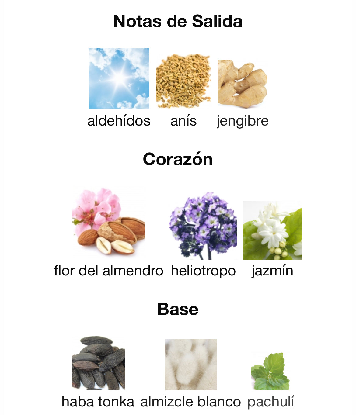 Ramon Monegal - Ibiza #islablanca