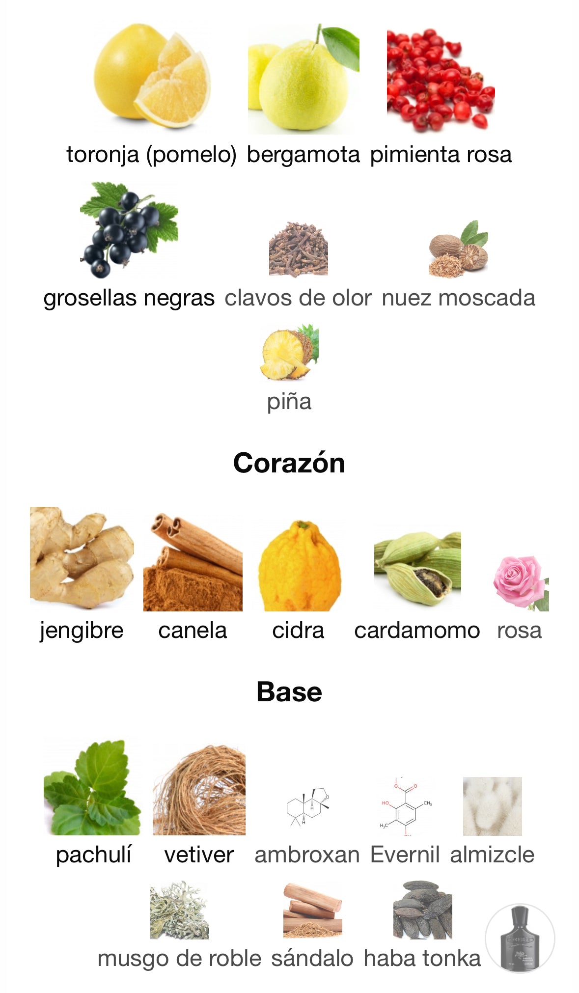 Creed - Aventus Absolu