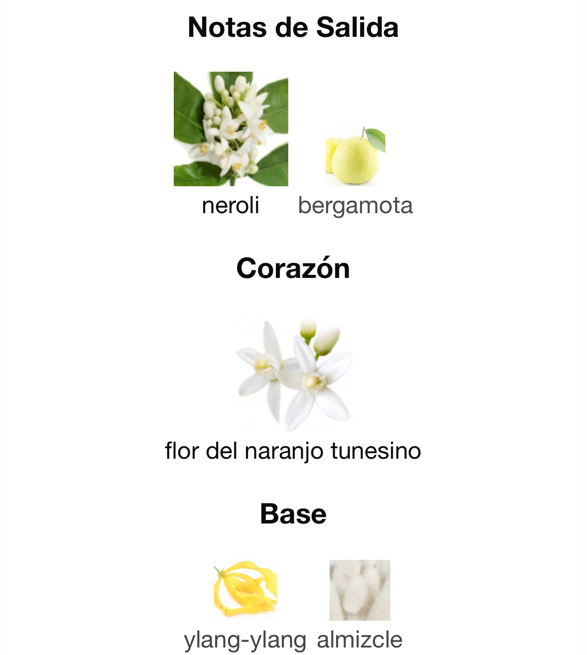 Matiere Premiere - Neroli Oranger