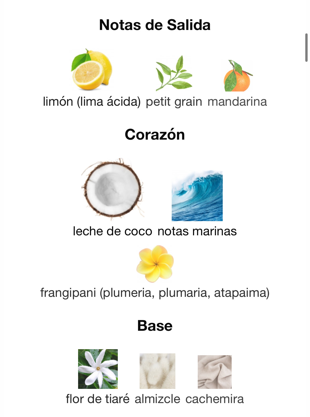 Granado - Full Bottled - Bosa