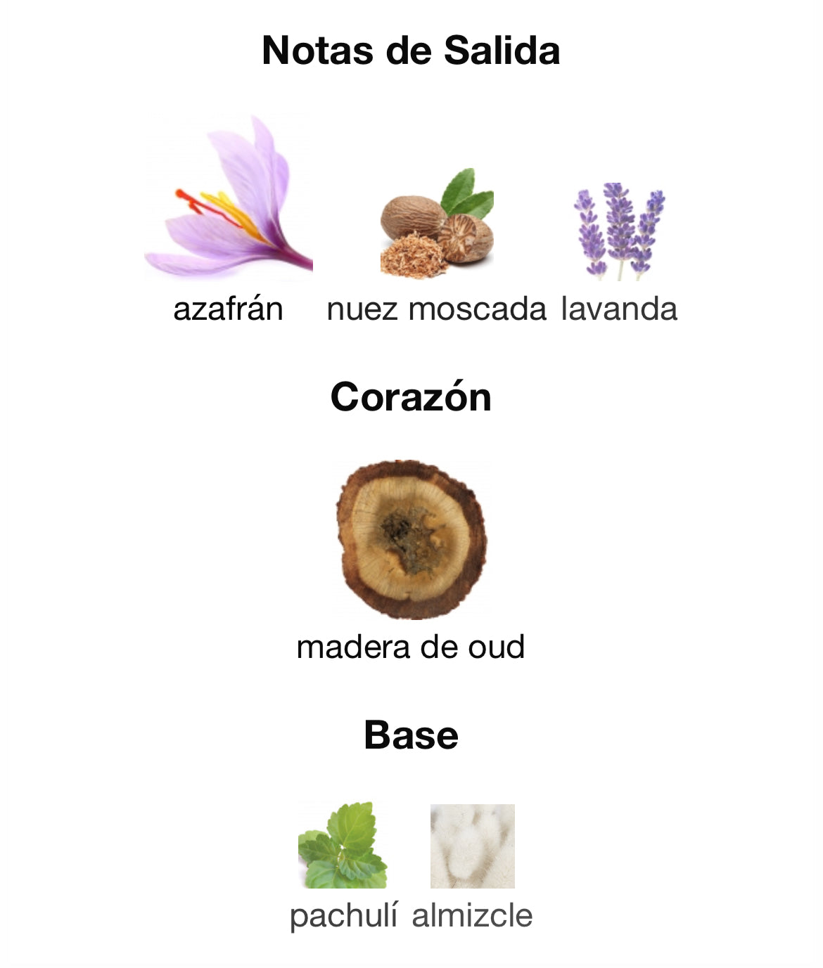 Initio Parfums Prives - Oud For Greatness