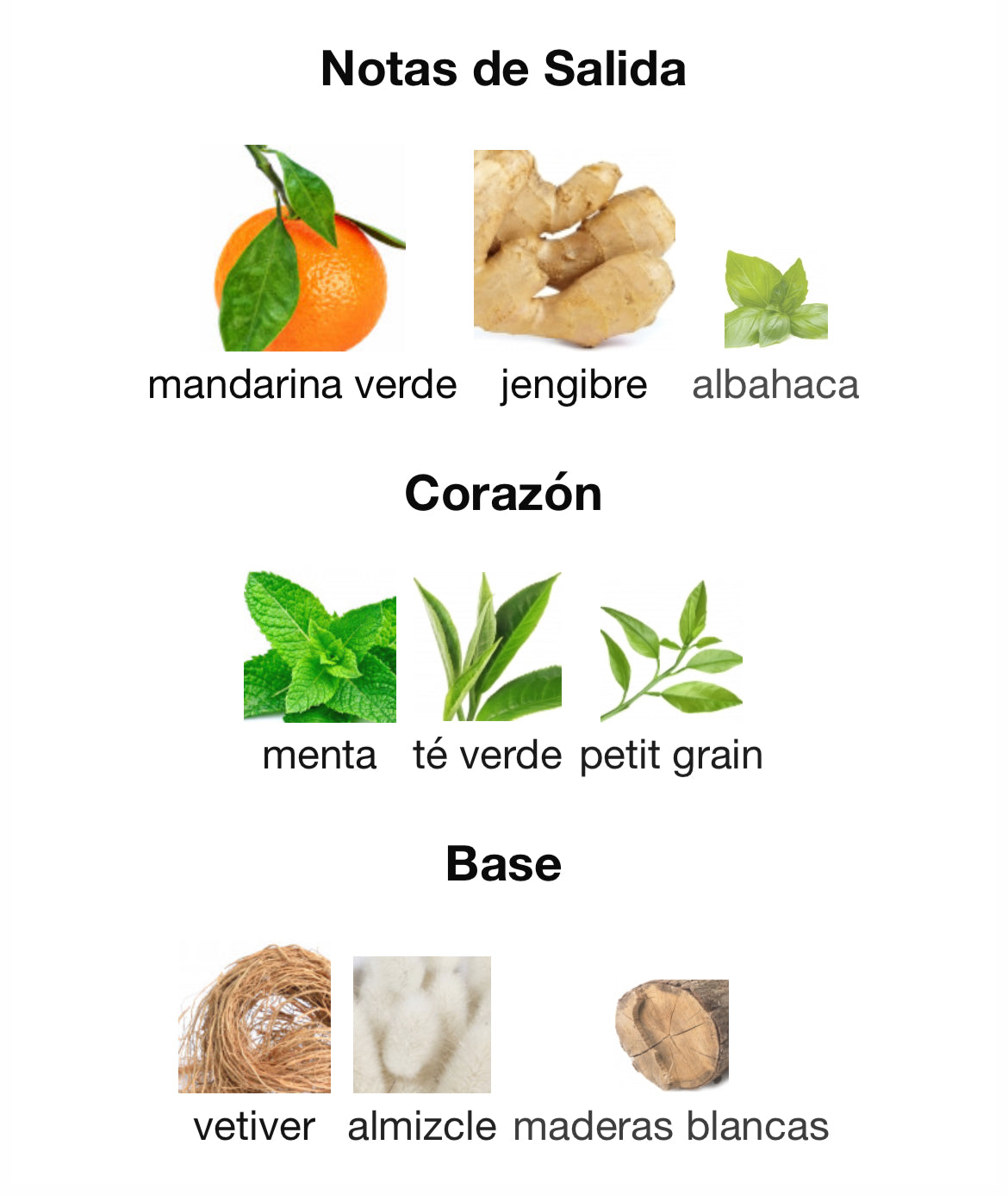 El Ganso - After Game