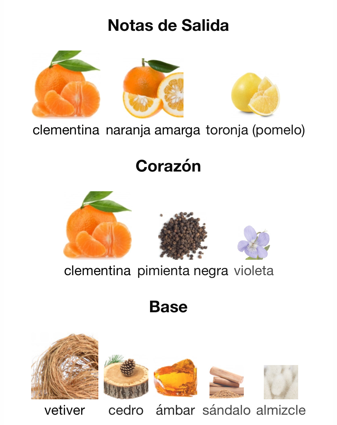 Jovoy Paris - Aqua Memorabilis