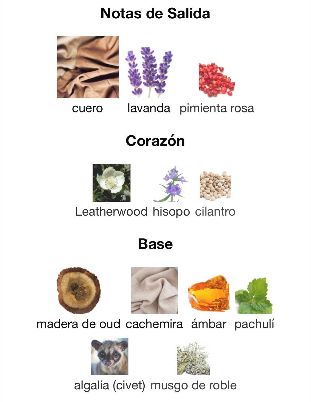 Goldfield & Banks Australia - Purple Suede