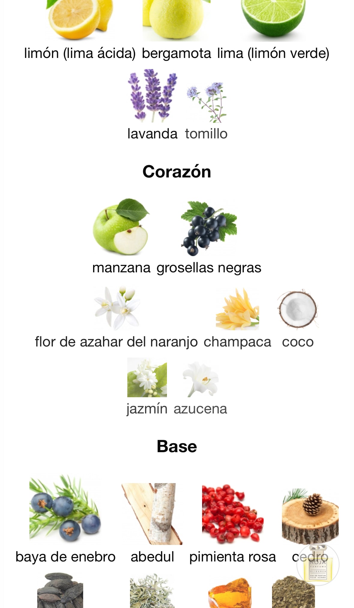 Roja Dove - Oligarch EDP