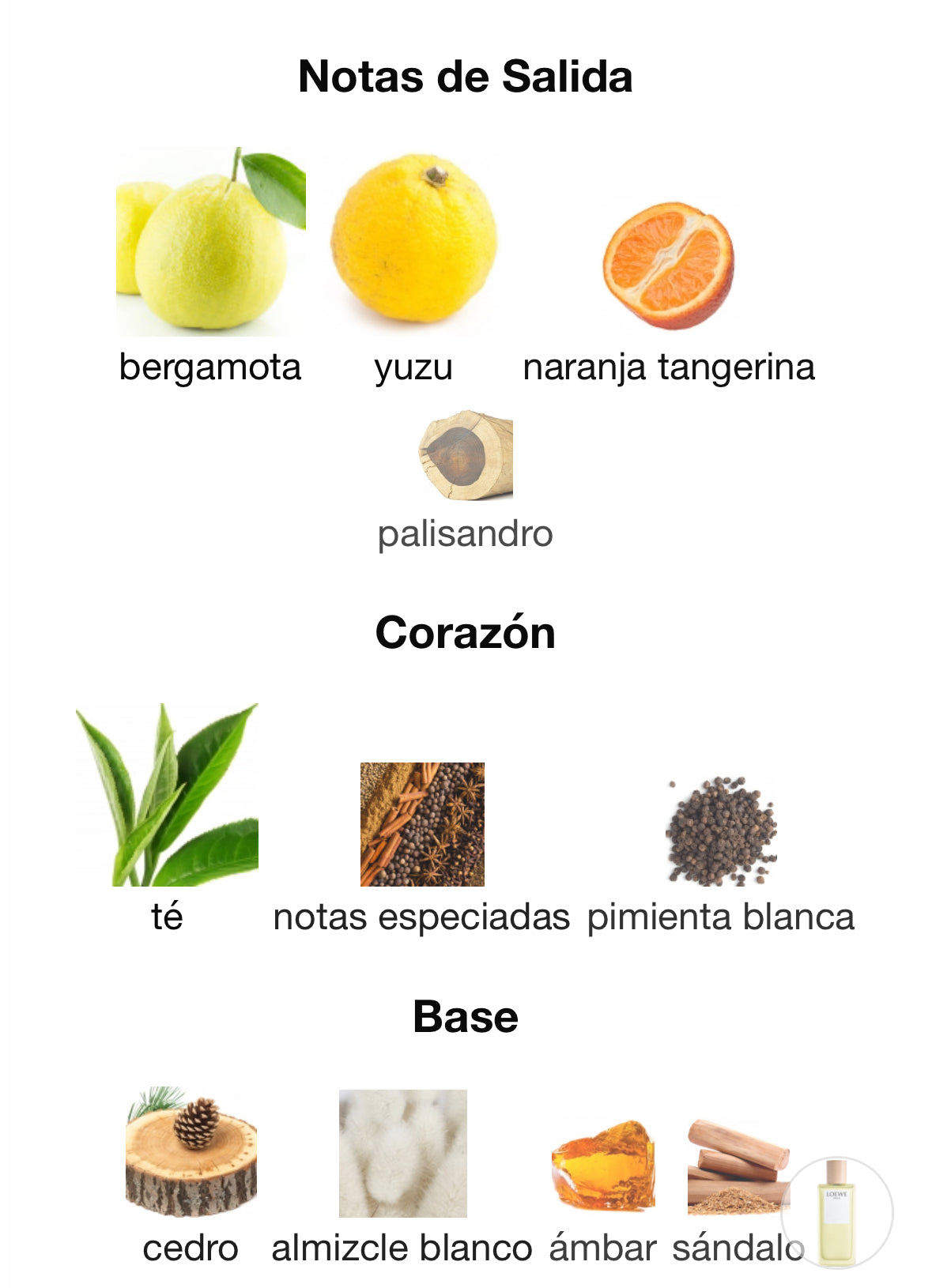 Loewe - Full Bottled - Agua