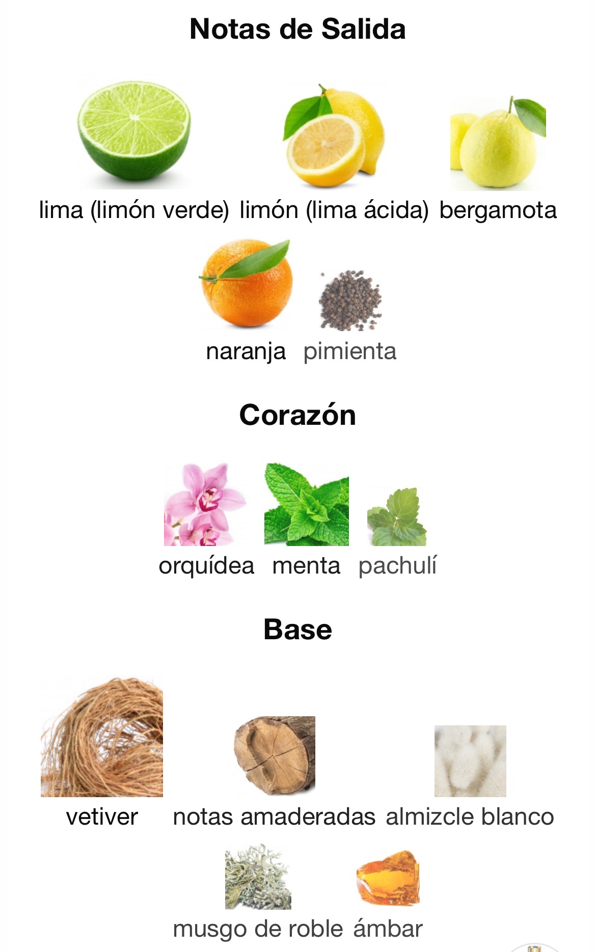 Mancera - Vetiver Sensuel