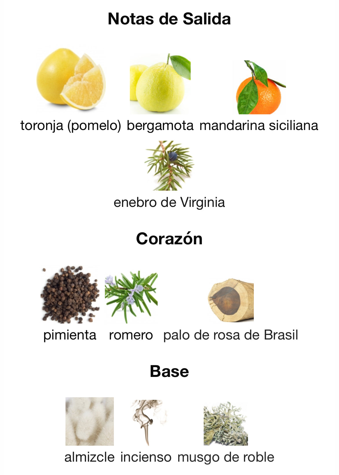 Dolce & Gabbana - Light Blue