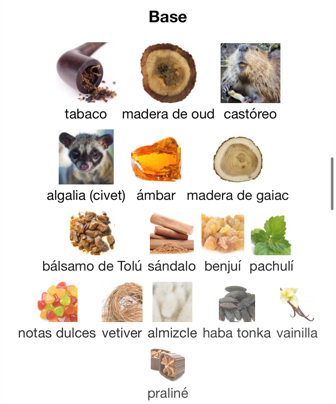 The Spirit Of Dubai - Abjar