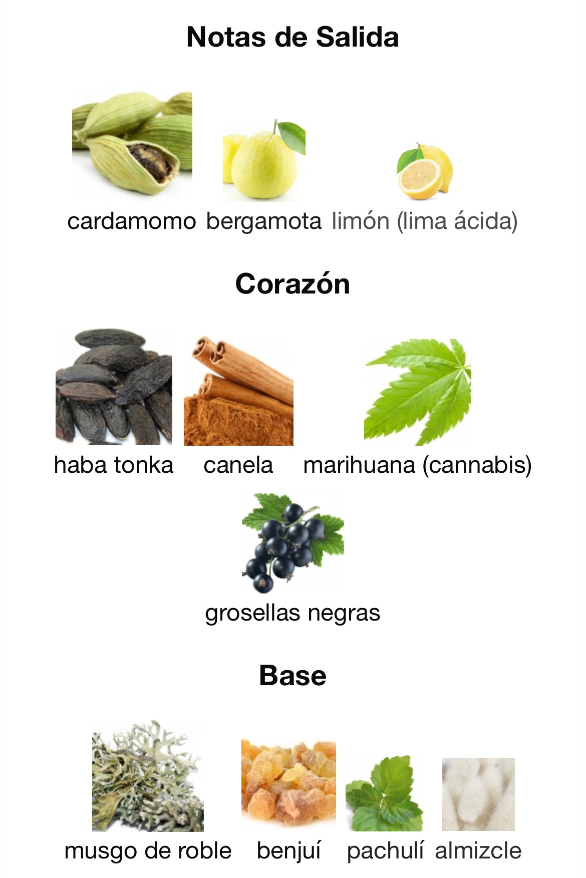 M. Micaleff - DesirToxic