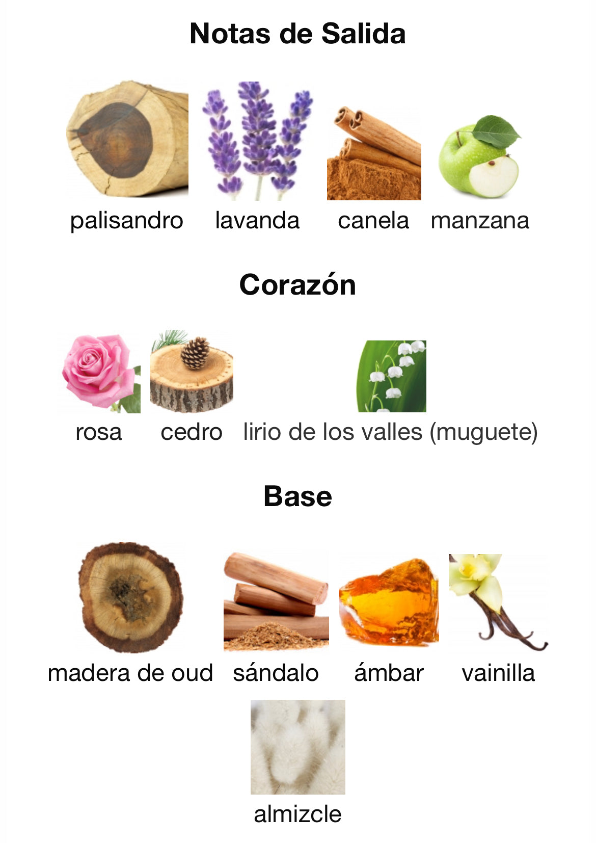 Xerjoff - Alexandria II