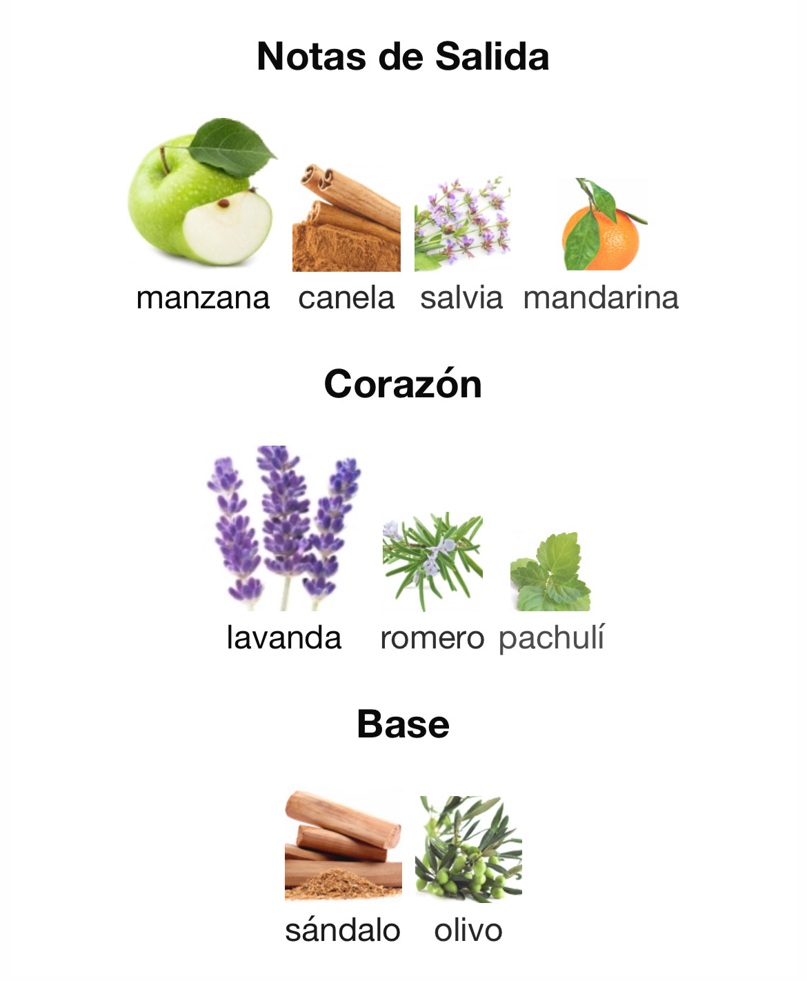 Hugo Boss - Bottled Infinite