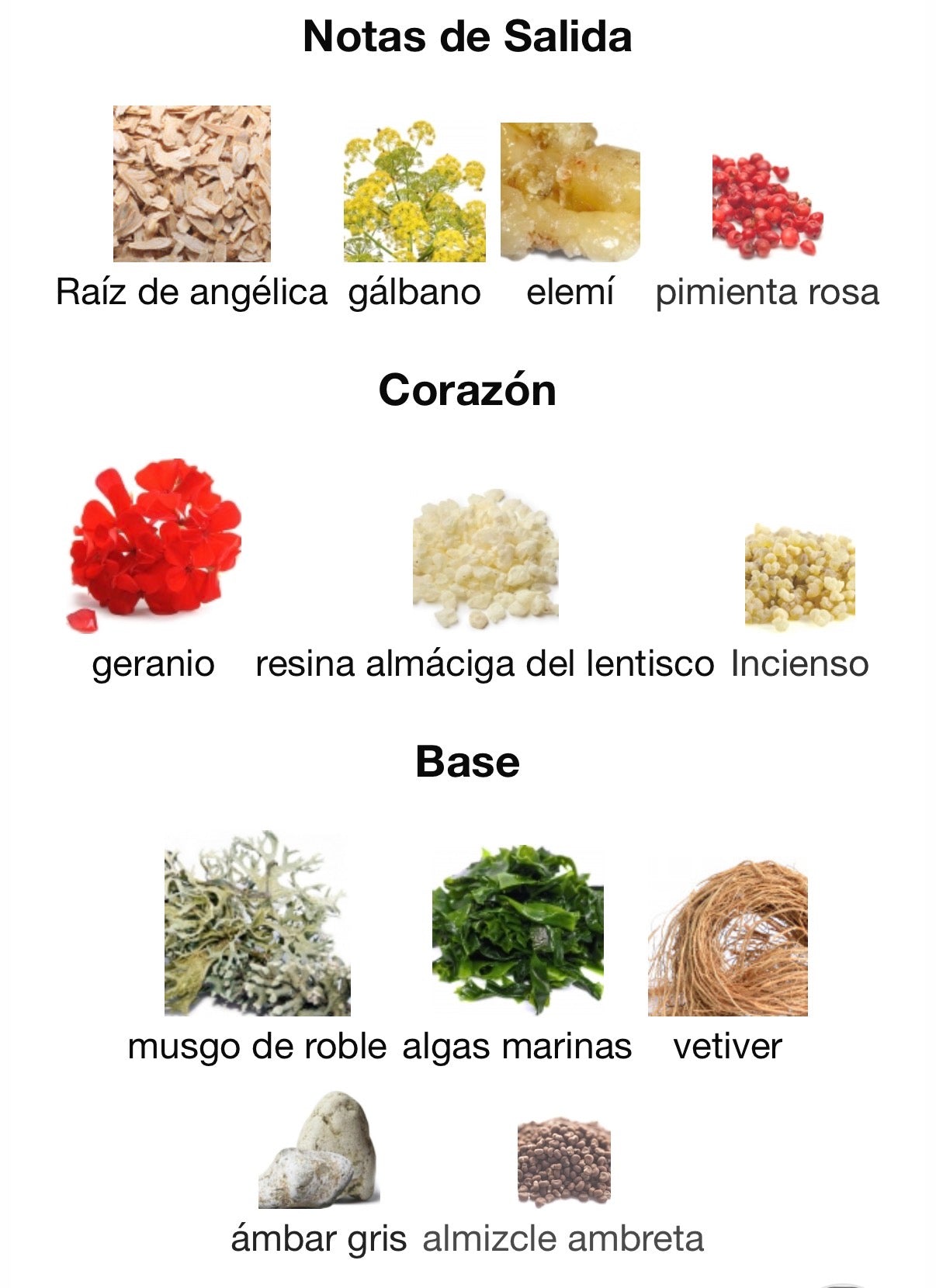 BeauFort London - Cape Wrath