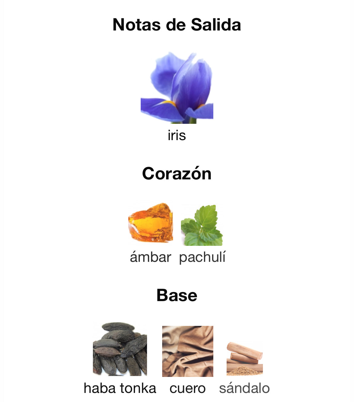 Prada - L’Homme Intense