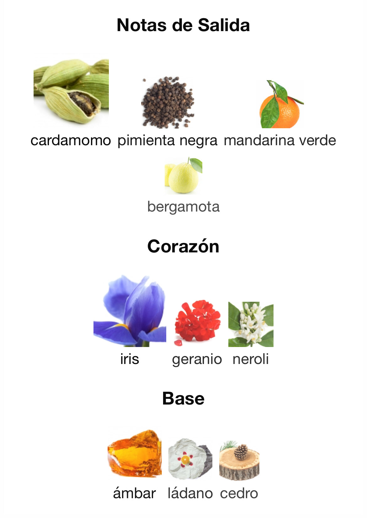 Prada - L’Homme Absolu