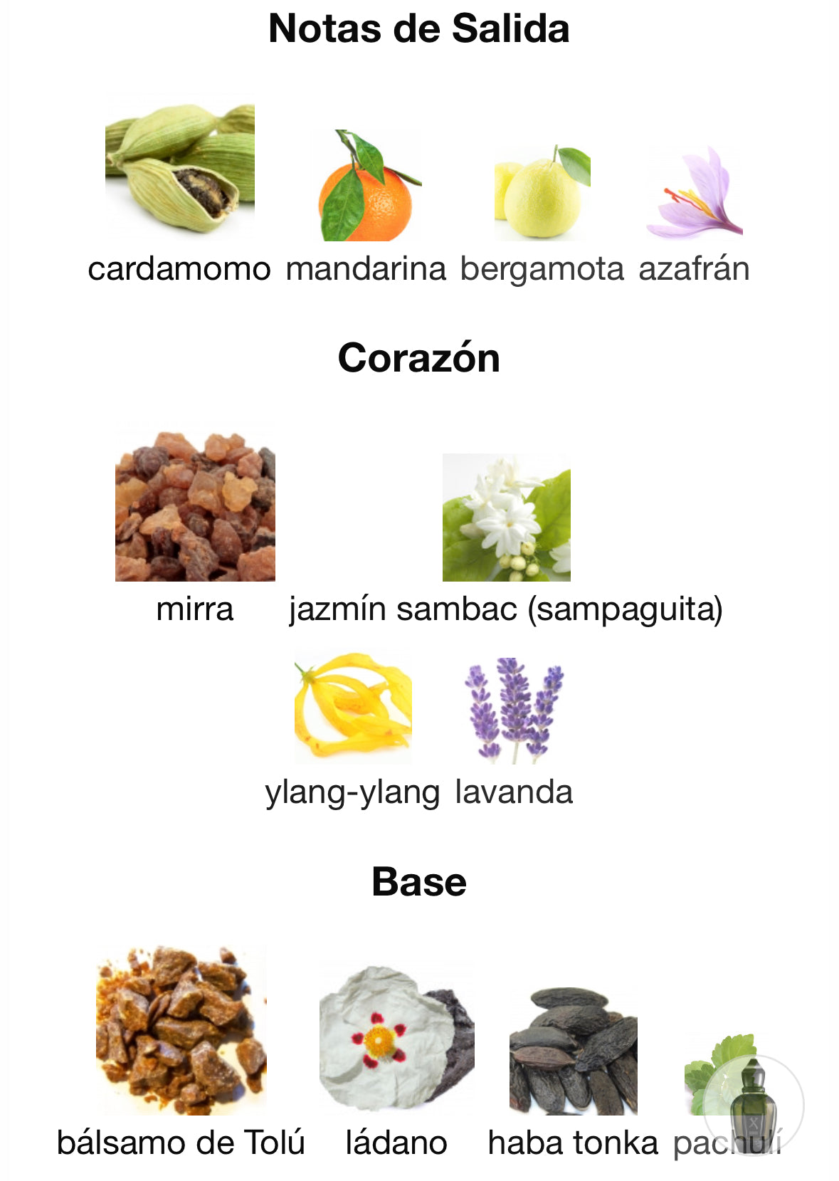 Xerjoff - Duran Duran Black Moonlight