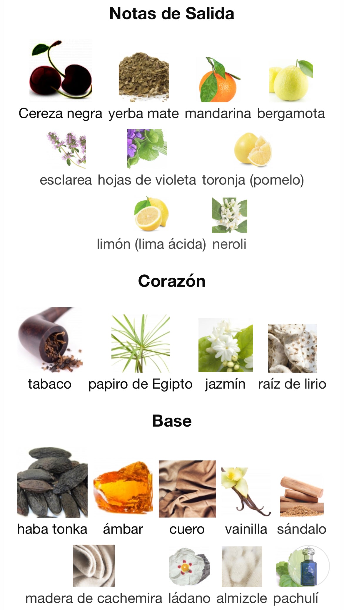 Clive Christian - Jump Up And Kiss Me Hedonistic