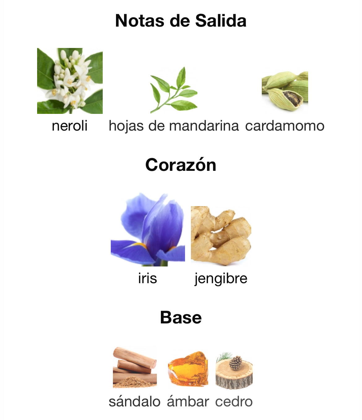 Prada - L’Homme Water Splash