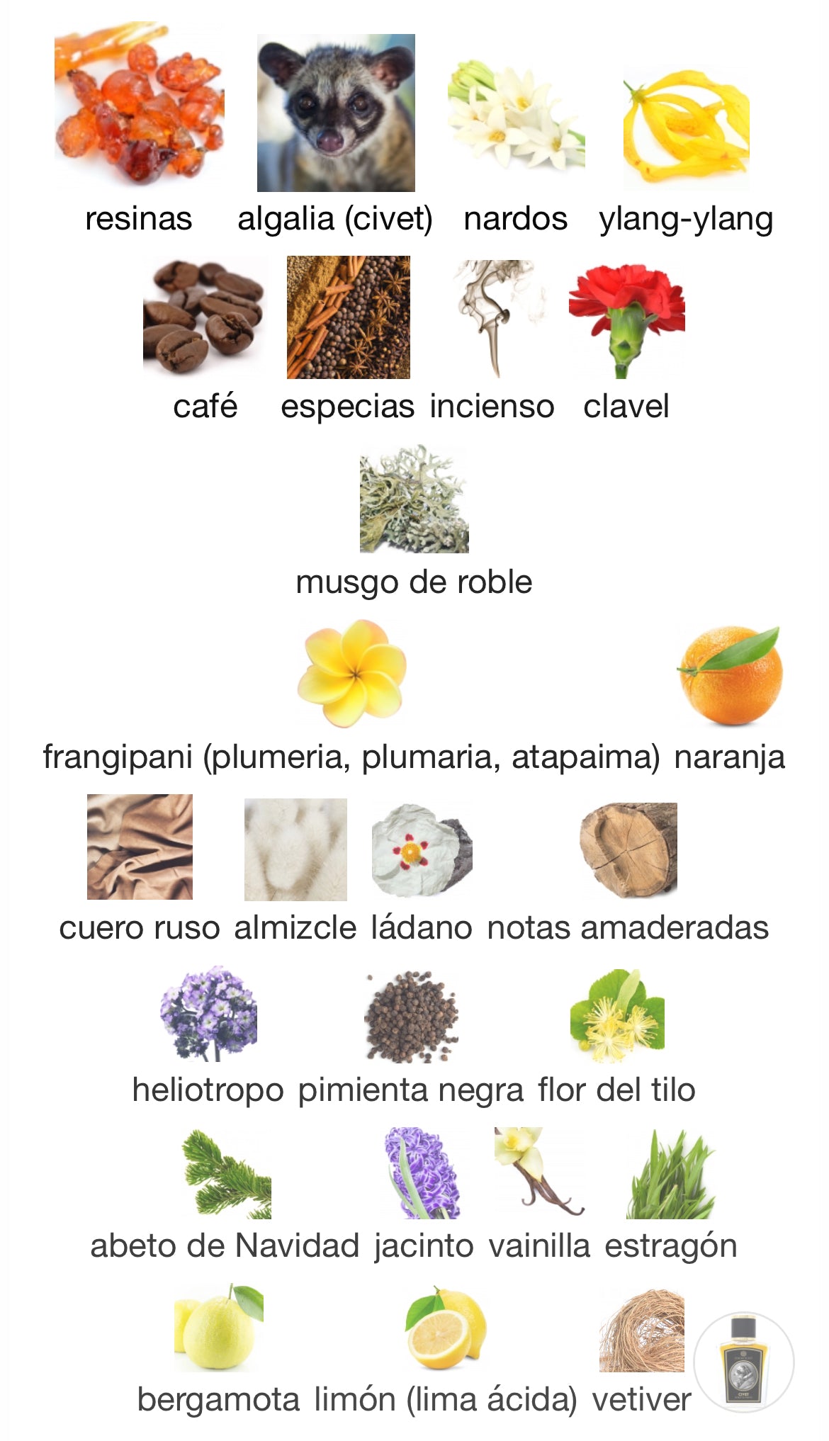 Zoologist Perfumes - Civet