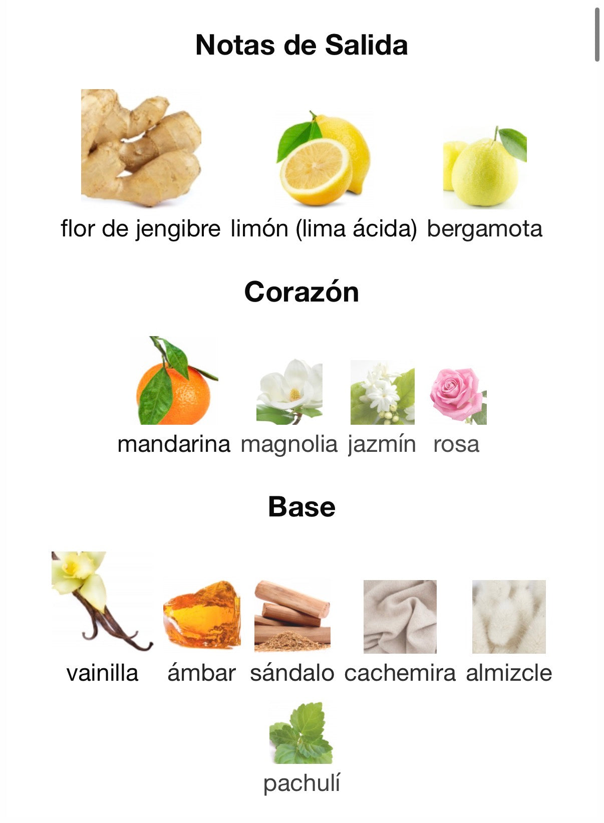 Goldfield & Banks Australia - Ingenious Ginger