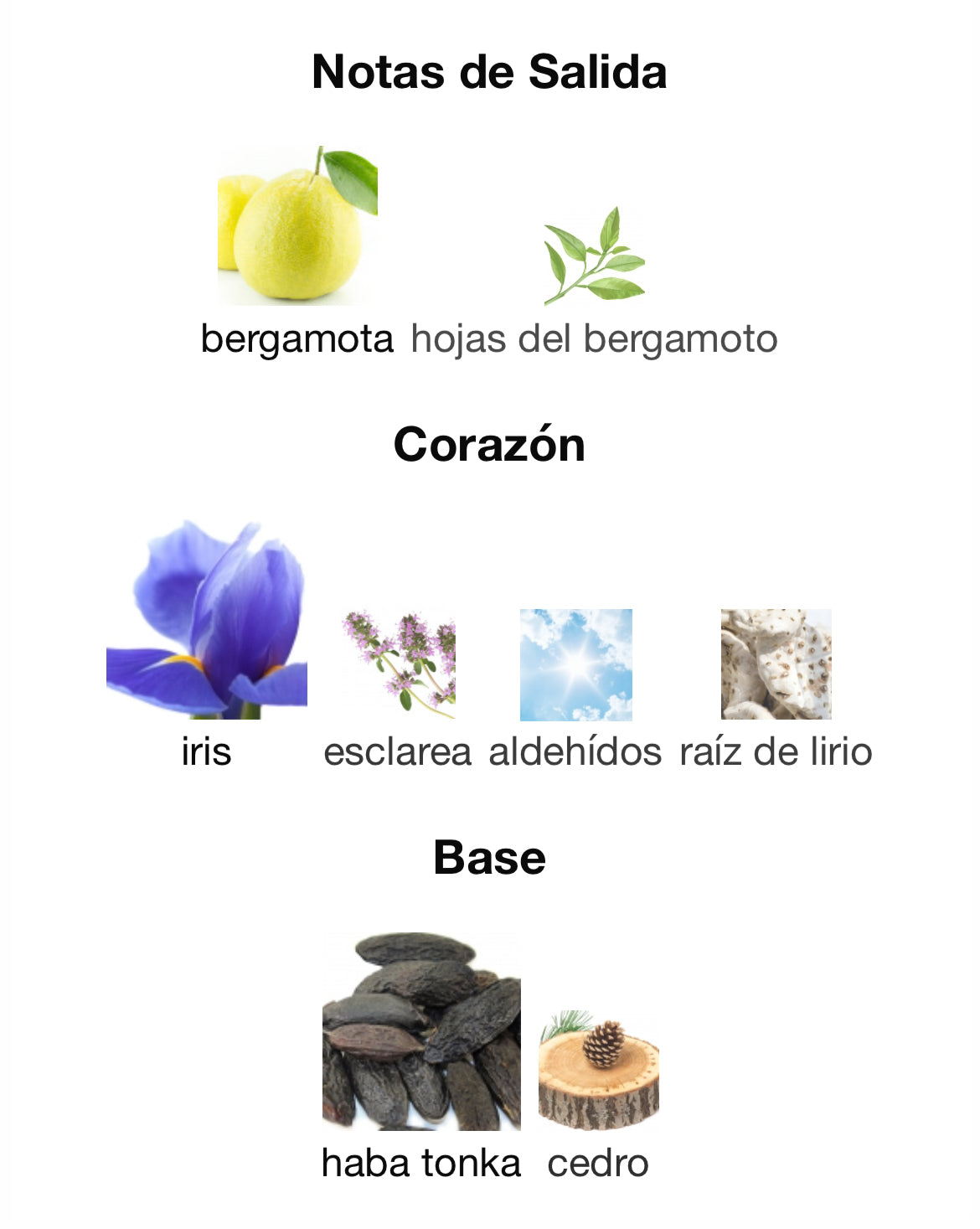 Giorgio Armani - Code Parfum